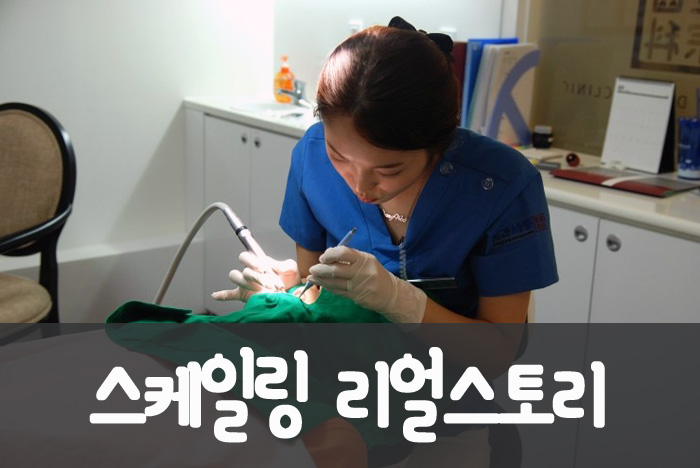 스케일링 리얼스토리 대표이미지.jpg