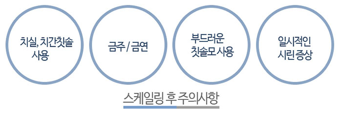 스케일링5.jpg